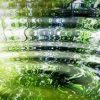 Umwelt_684x192-1